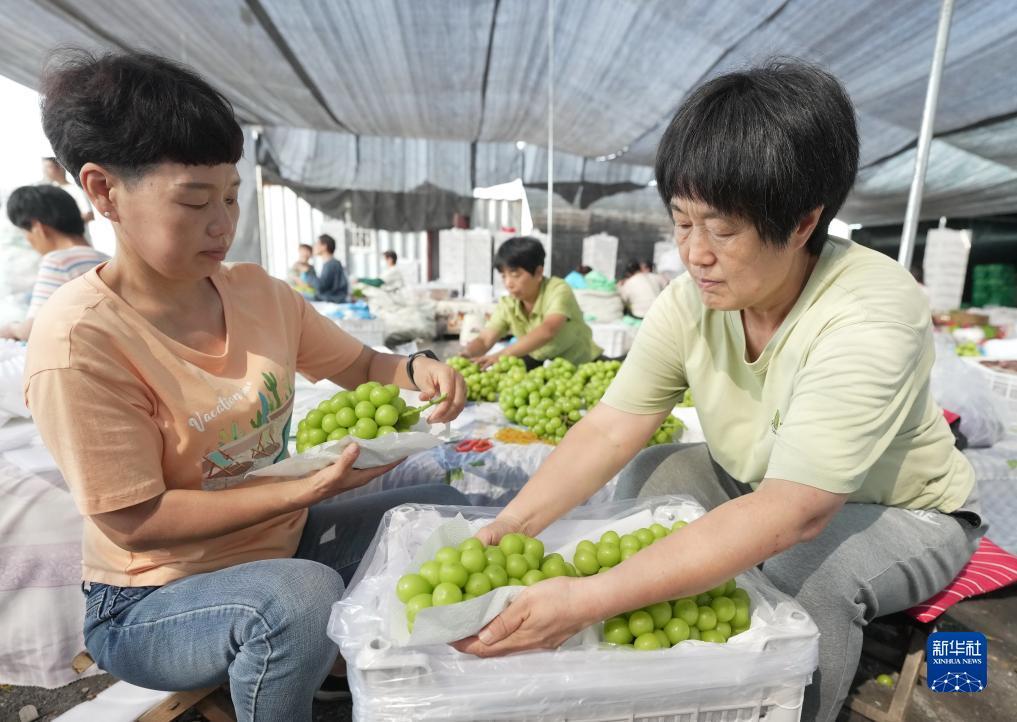 苹果x怎么玩不了pt游戏